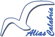 Progetto Ali Progetto Ali